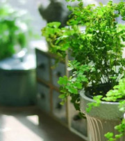 固原专属于你的开运指南，助你鸿运当头福满身！