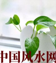 固原家中摆放六种吉祥物，会打开您的财运大门！