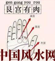 固原这个地方肉越多，财运就越好