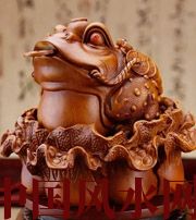固原解读金蟾最合适的位置，这样摆放更招财！